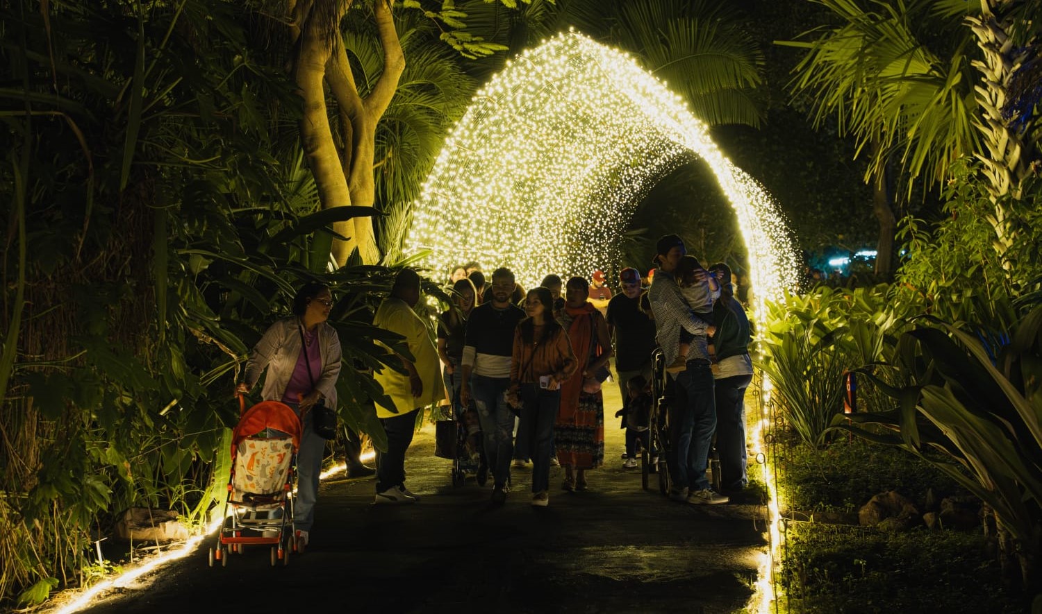 WhatsApp Image 2024-01-04 at 4.59.17 PM