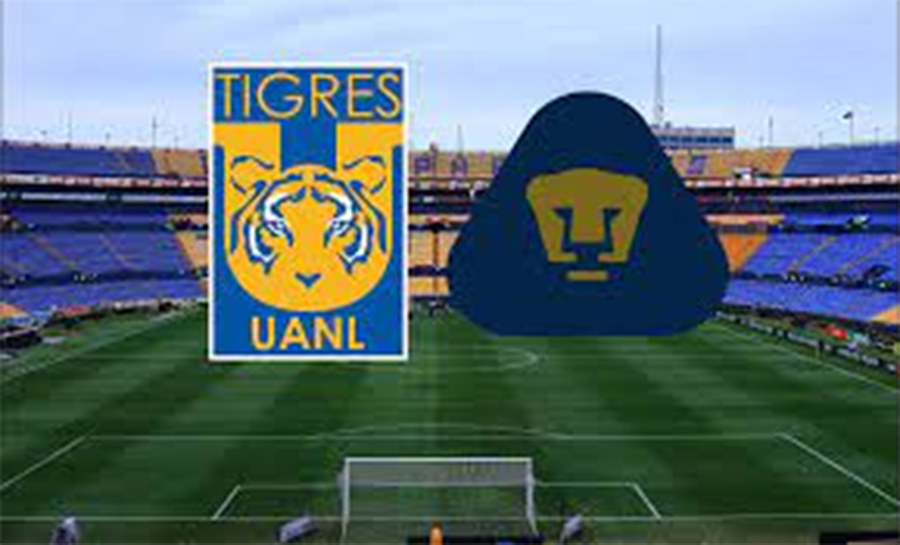 tigres