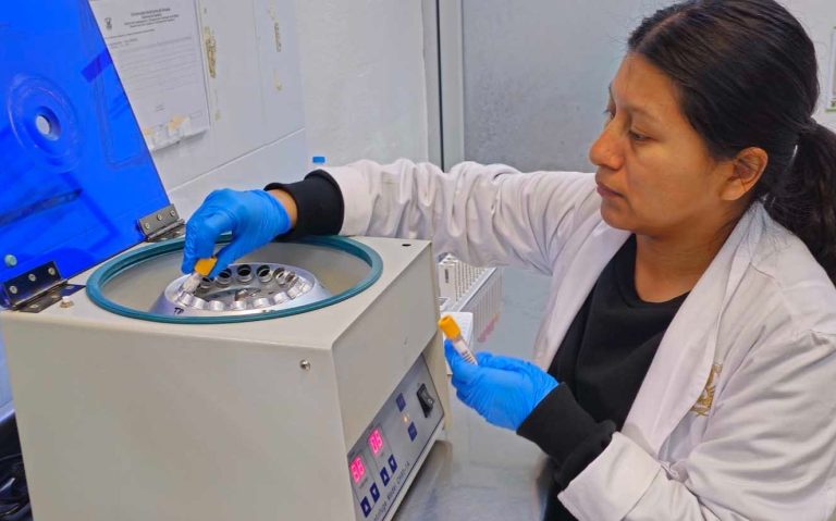 WhatsApp Image 2024-02-05 at 1.52.36 PM