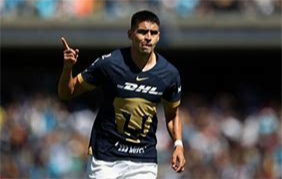 pumas