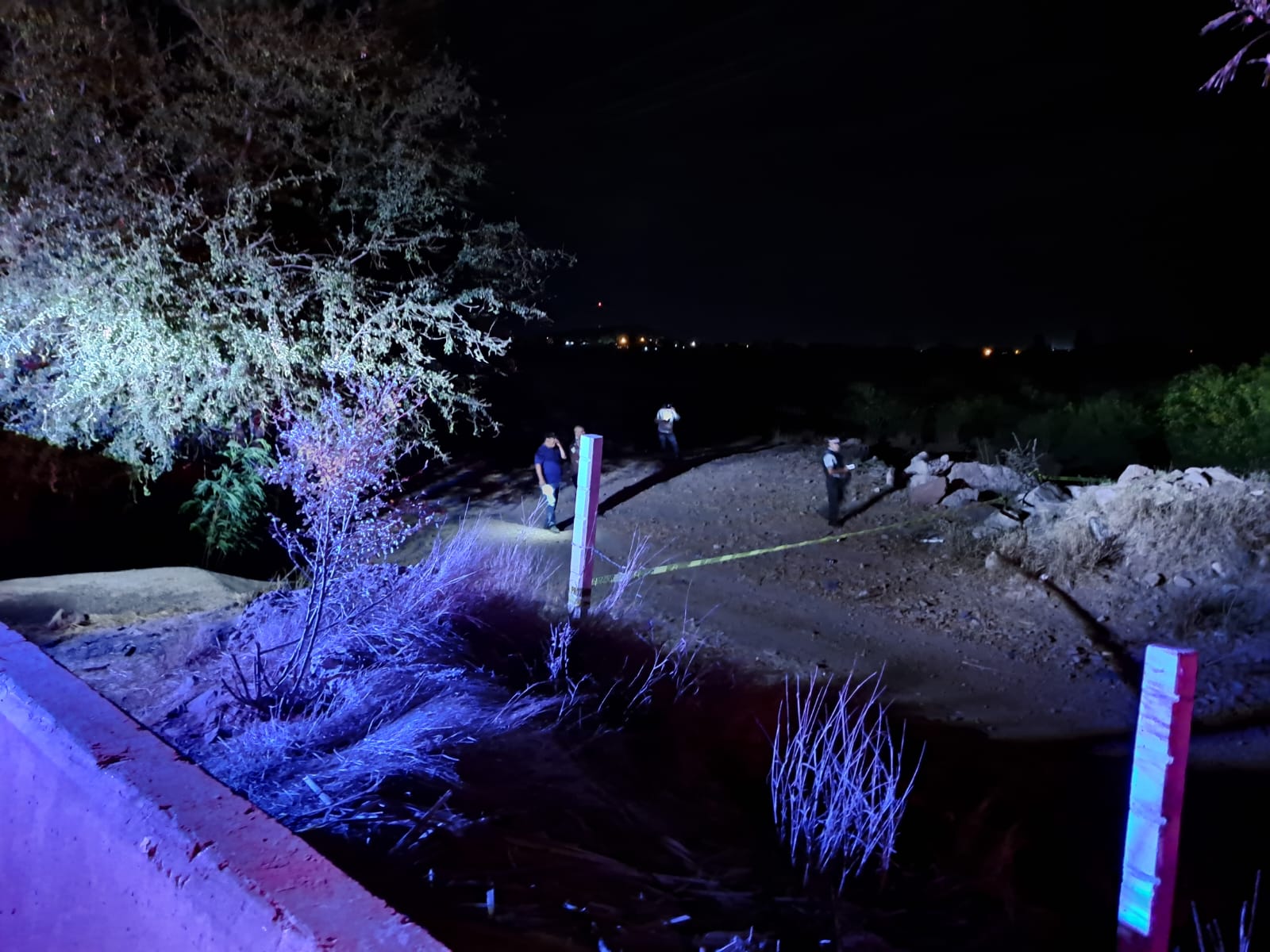 IMG-20240424-WA0746