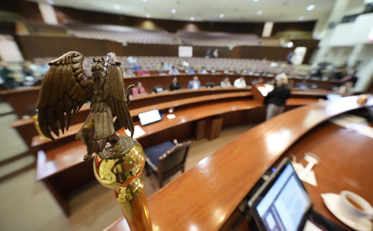 WhatsApp Image 2024-04-09 at 3.12.11 PM