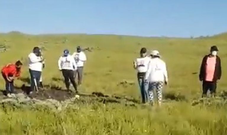 WhatsApp Image 2024-04-12 at 2.08.57 PM