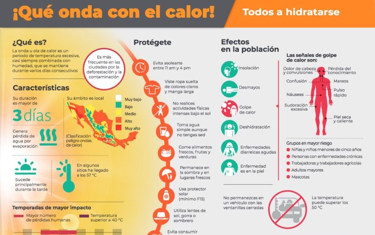 WhatsApp Image 2024-04-12 at 7.50.12 PM