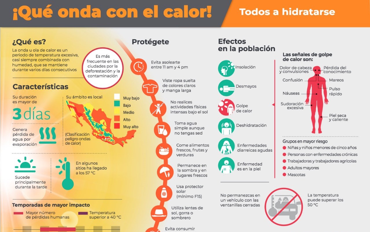 WhatsApp Image 2024-04-12 at 7.50.12 PM