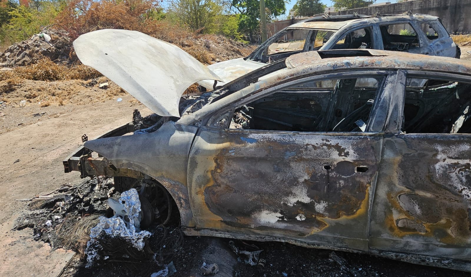 WhatsApp Image 2024-04-21 at 6.56.15 PM