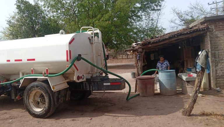 WhatsApp Image 2024-04-23 at 6.12.45 PM