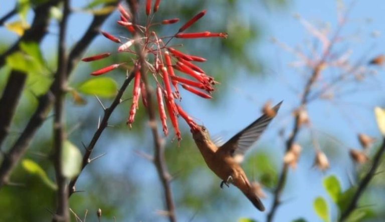 WhatsApp Image 2024-04-24 at 3.45.58 PM