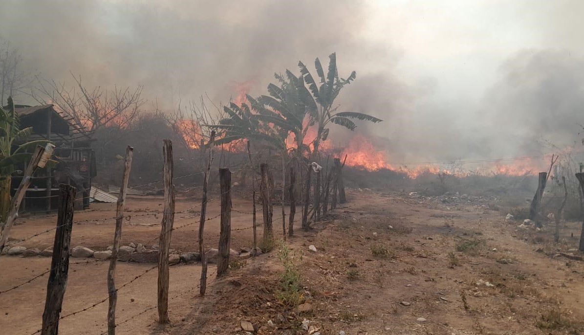 WhatsApp Image 2024-04-25 at 9.05.59 PM