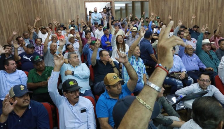 WhatsApp Image 2024-04-28 at 2.08.37 PM