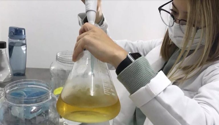 MICROALGAS (3)