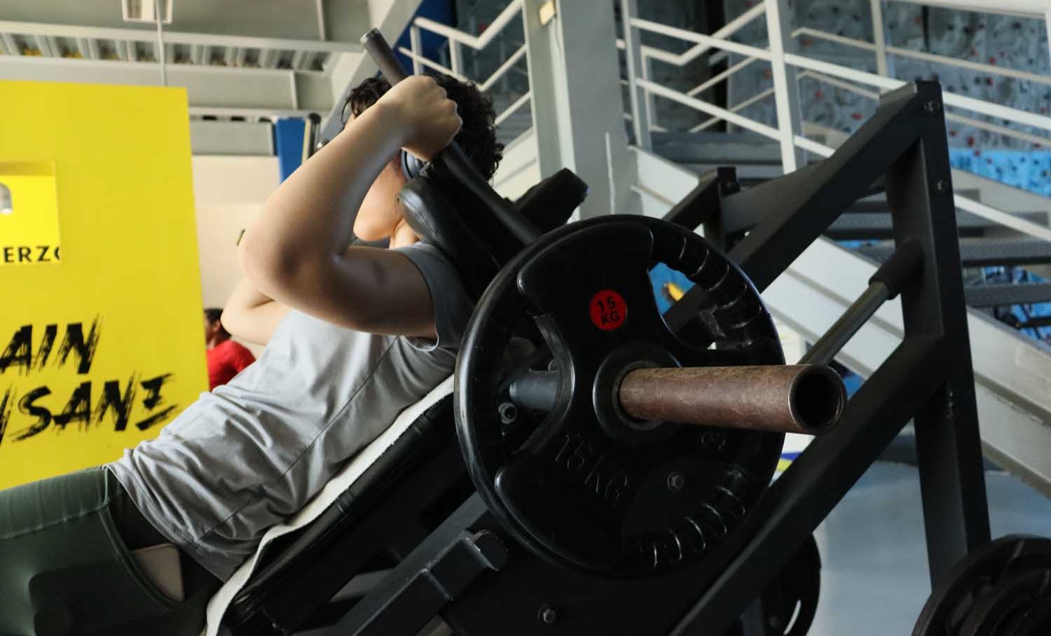 GIMNASIO CARDIOVASCULAR RENE VILLAREAL QUE ES EL MAGNESIO (2)
