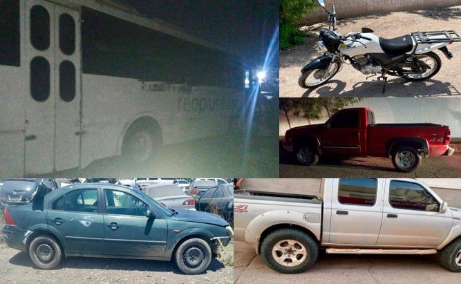 WhatsApp Image 2024-07-29 at 10.53.28 AM