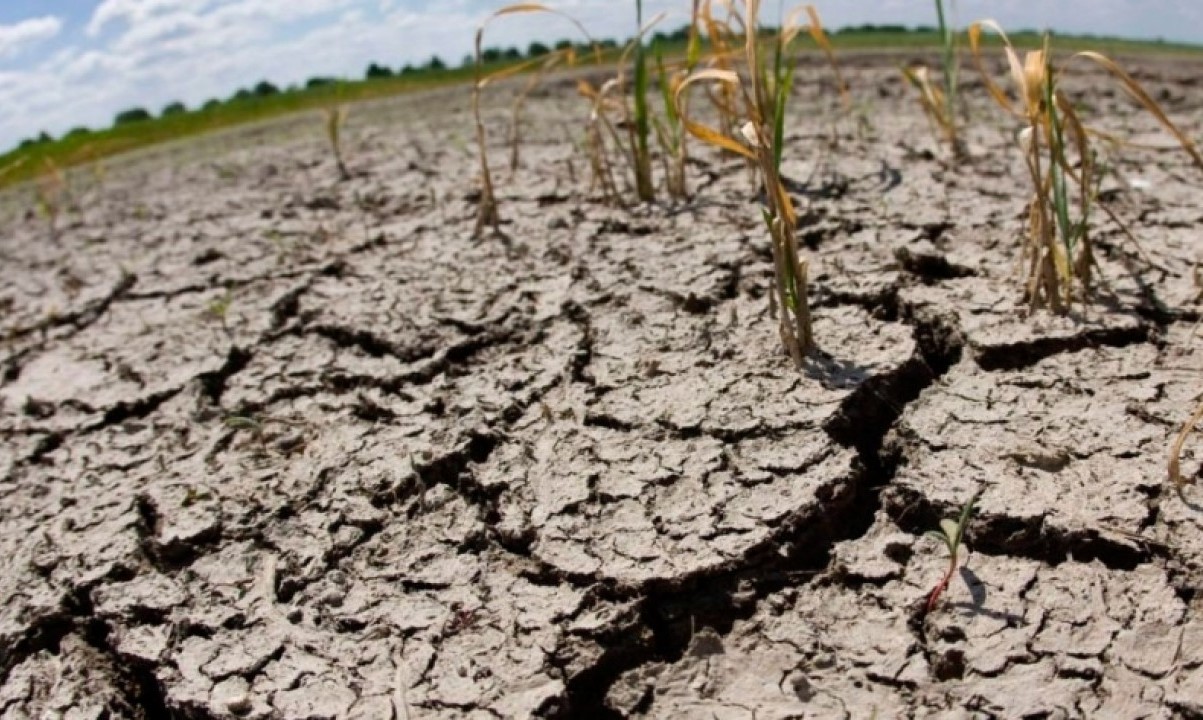 WhatsApp Image 2024-07-30 at 9.54.12 AM