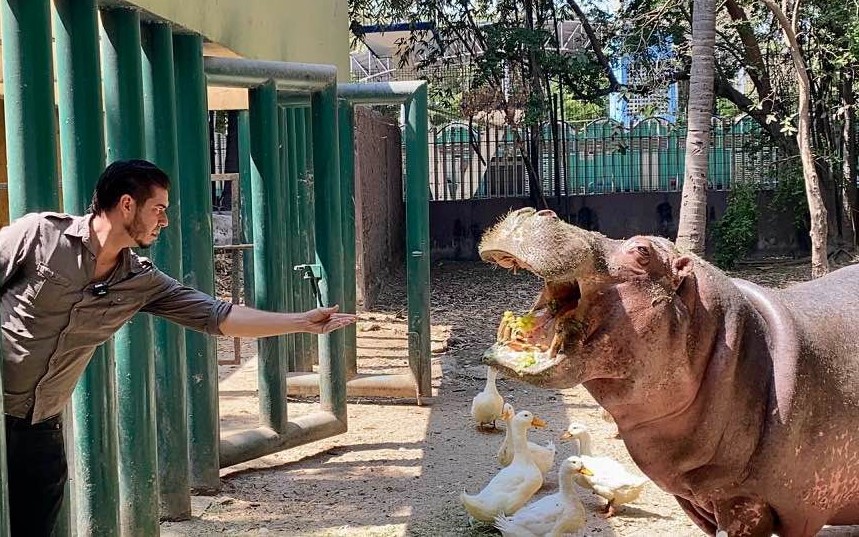 WhatsApp Image 2024-08-26 at 3.35.19 PM