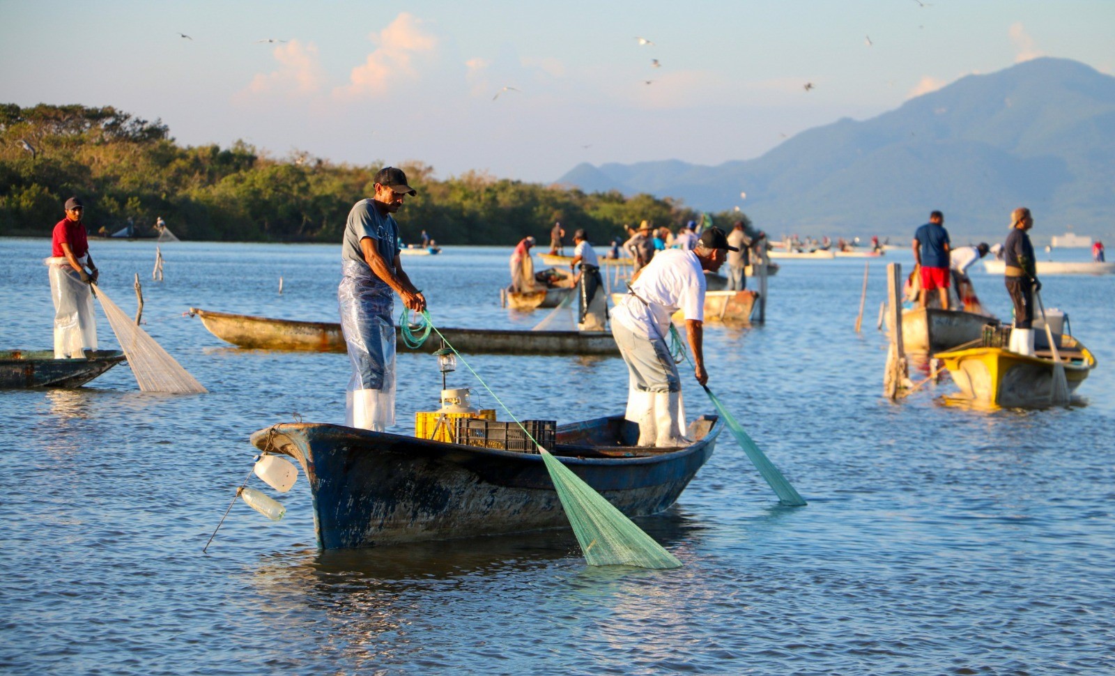 WhatsApp Image 2024-08-30 at 3.19.56 PM