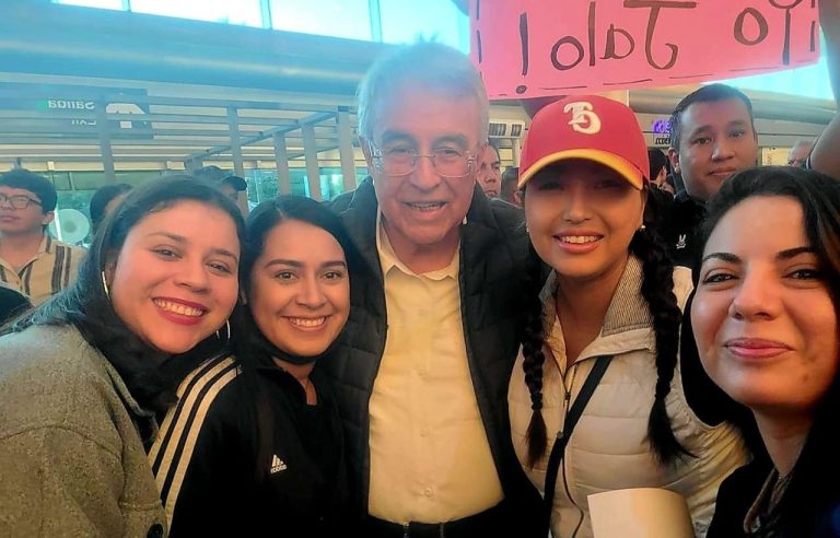 diputada