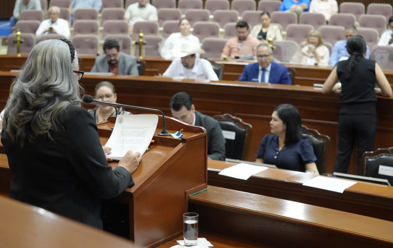 WhatsApp Image 2024-08-28 at 10.43.06 AM