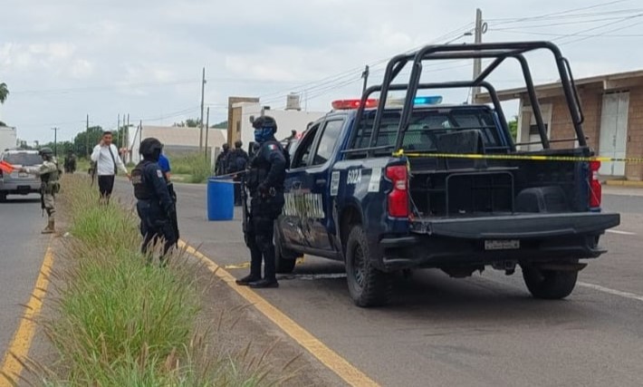 WhatsApp Image 2024-09-21 at 2.45.53 PM