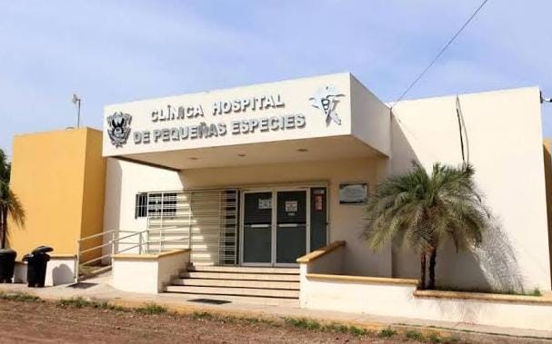 Esterilización (3)