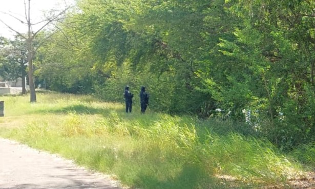 WhatsApp Image 2024-10-23 at 1.32.39 PM