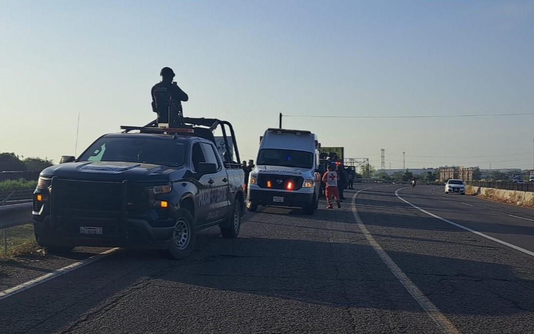 WhatsApp Image 2024-10-23 at 10.30.27 AM