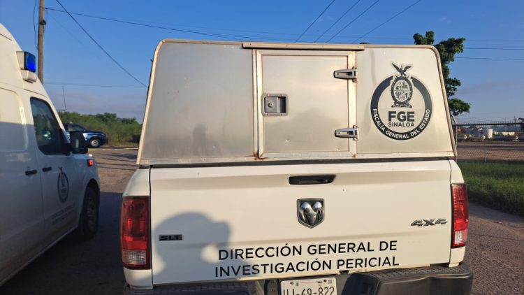 grupo