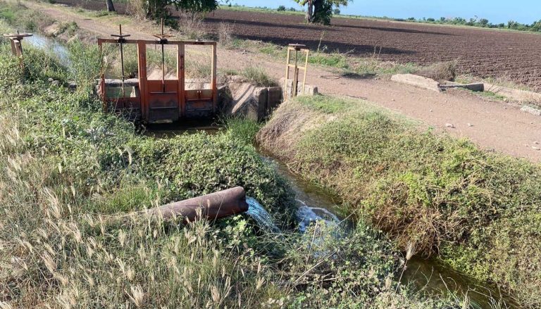AGRONOMIA AZZAREL ANGULO PERPECTIVAS DEL PROXIMO CICLO (12)