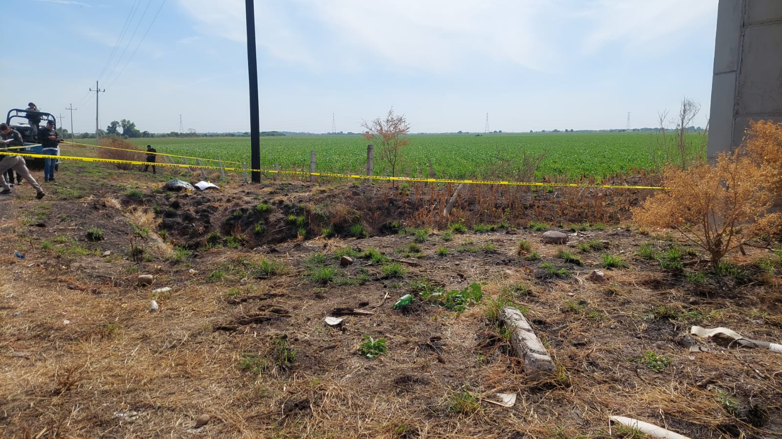 WhatsApp Image 2024-11-30 at 1.33.35 PM (1)