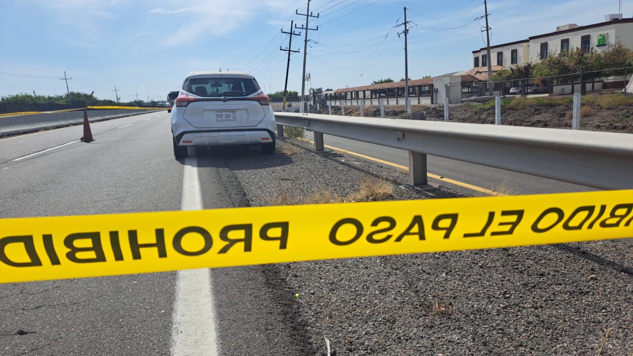 WhatsApp Image 2024-11-30 at 1.35.14 PM