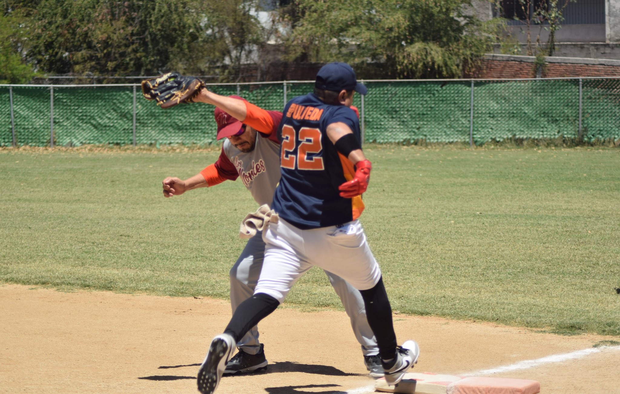 rigo