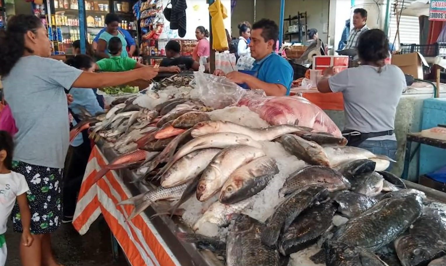 DESIGUALDAD ALIMENTOS (1)