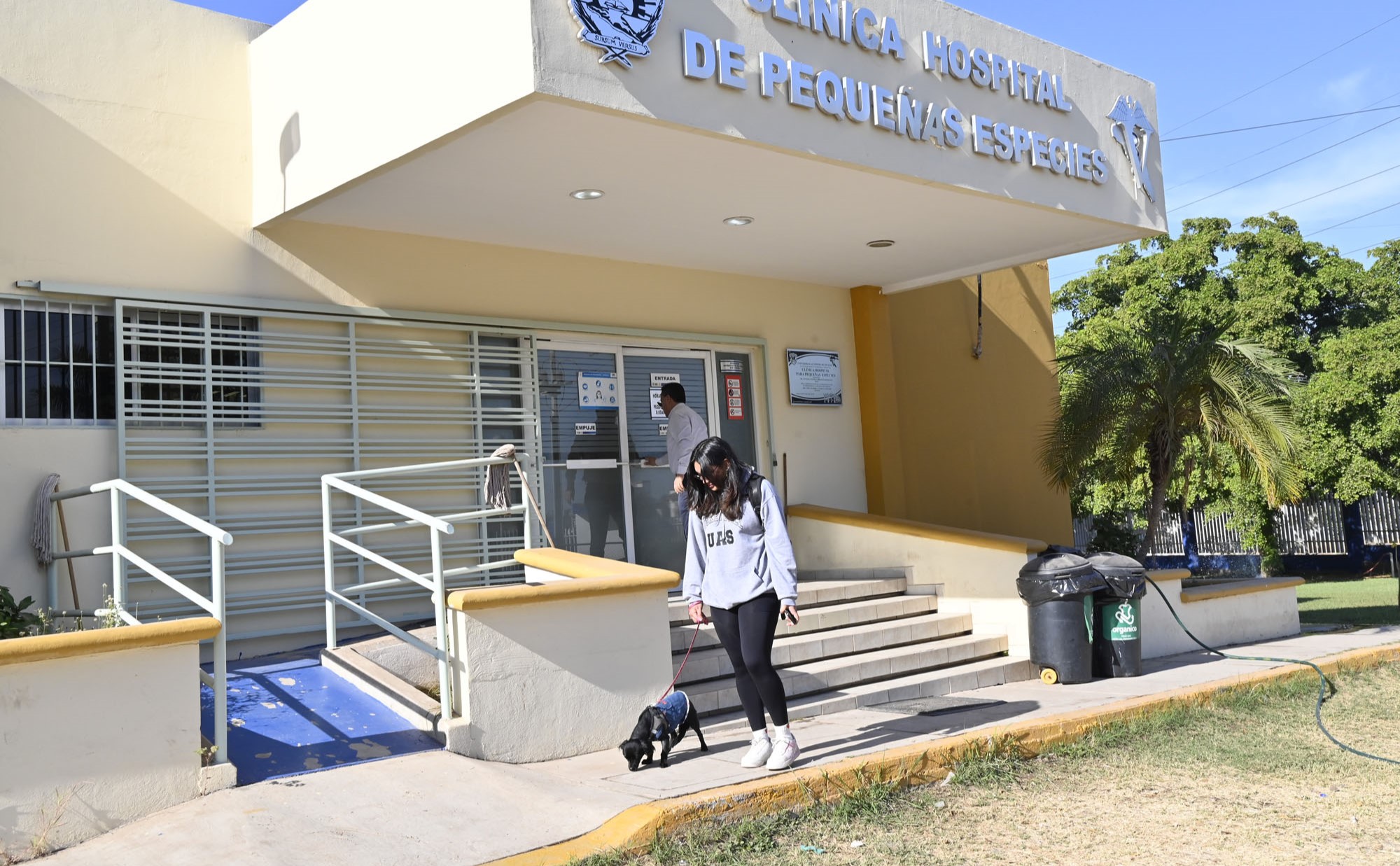 Veterinaria (1)