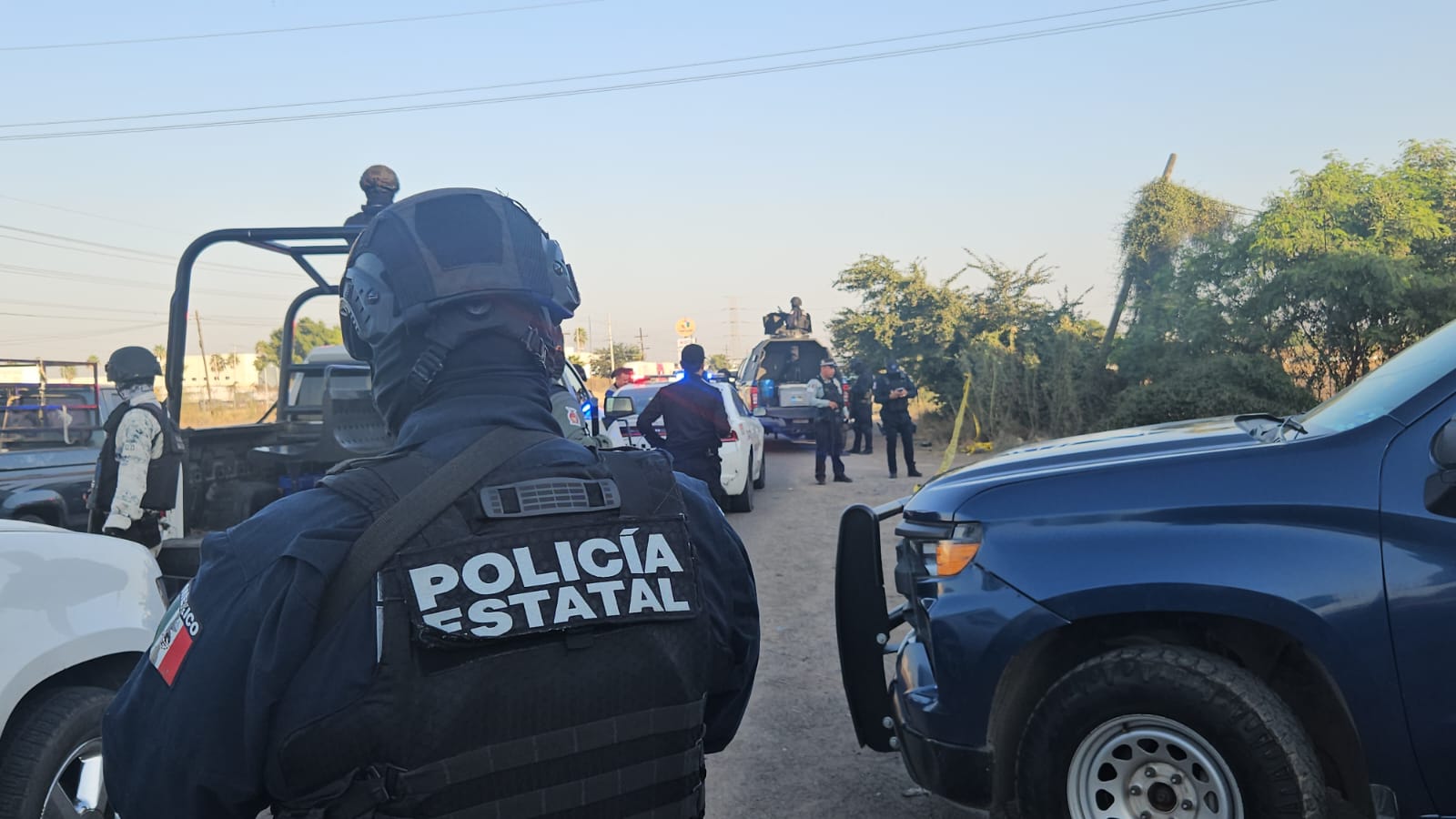 WhatsApp Image 2024-12-19 at 12.51.06 PM