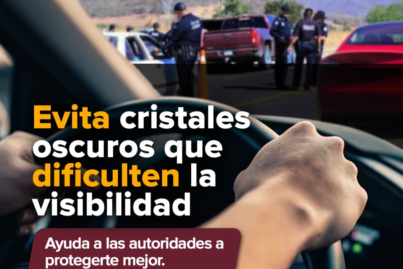 Imagen de WhatsApp 2025-01-27 a las 16.25.18_17264b87