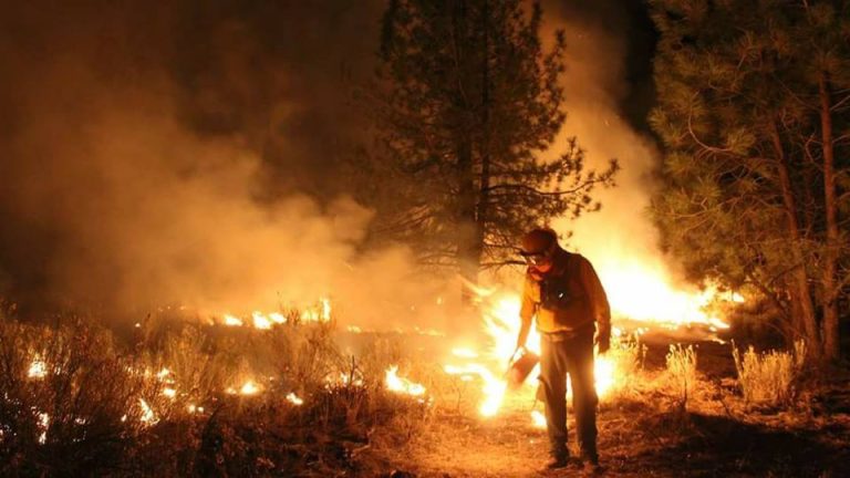 Incendios Forestales (1)