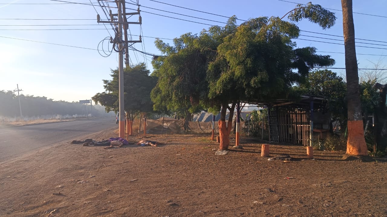 WhatsApp Image 2025-01-01 at 10.26.22 AM