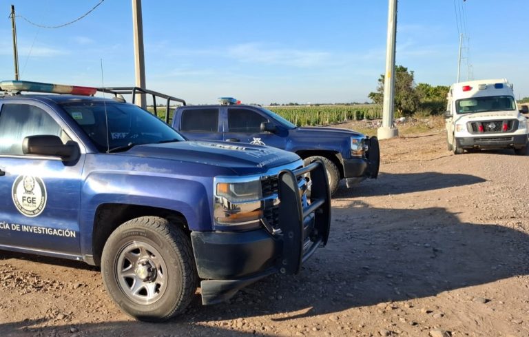 WhatsApp Image 2025-01-01 at 4.58.43 PM