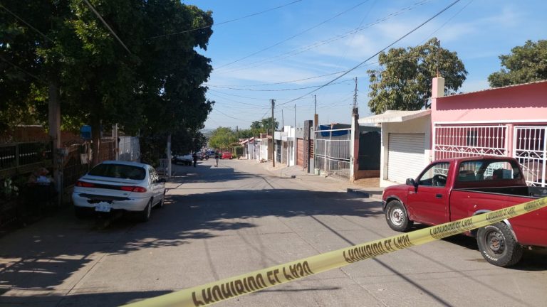 WhatsApp Image 2025-01-02 at 1.27.28 PM