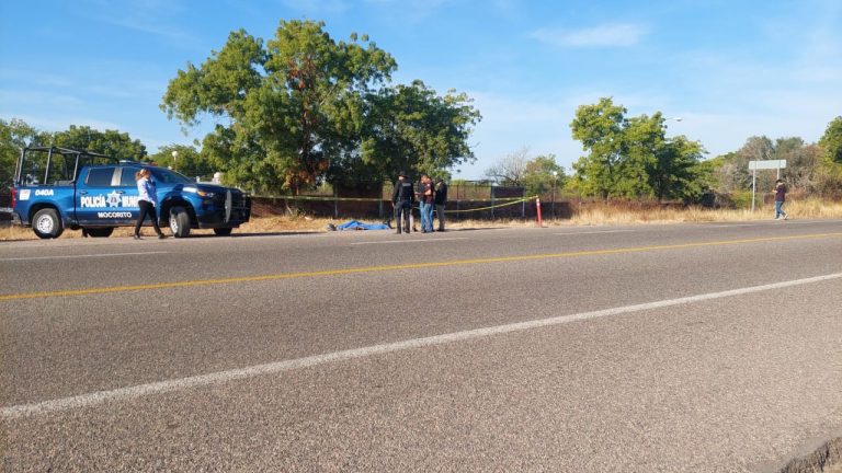 WhatsApp Image 2025-01-02 at 10.13.52 AM