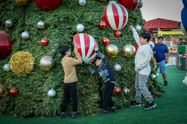 WhatsApp Image 2025-01-02 at 9.50.54 PM