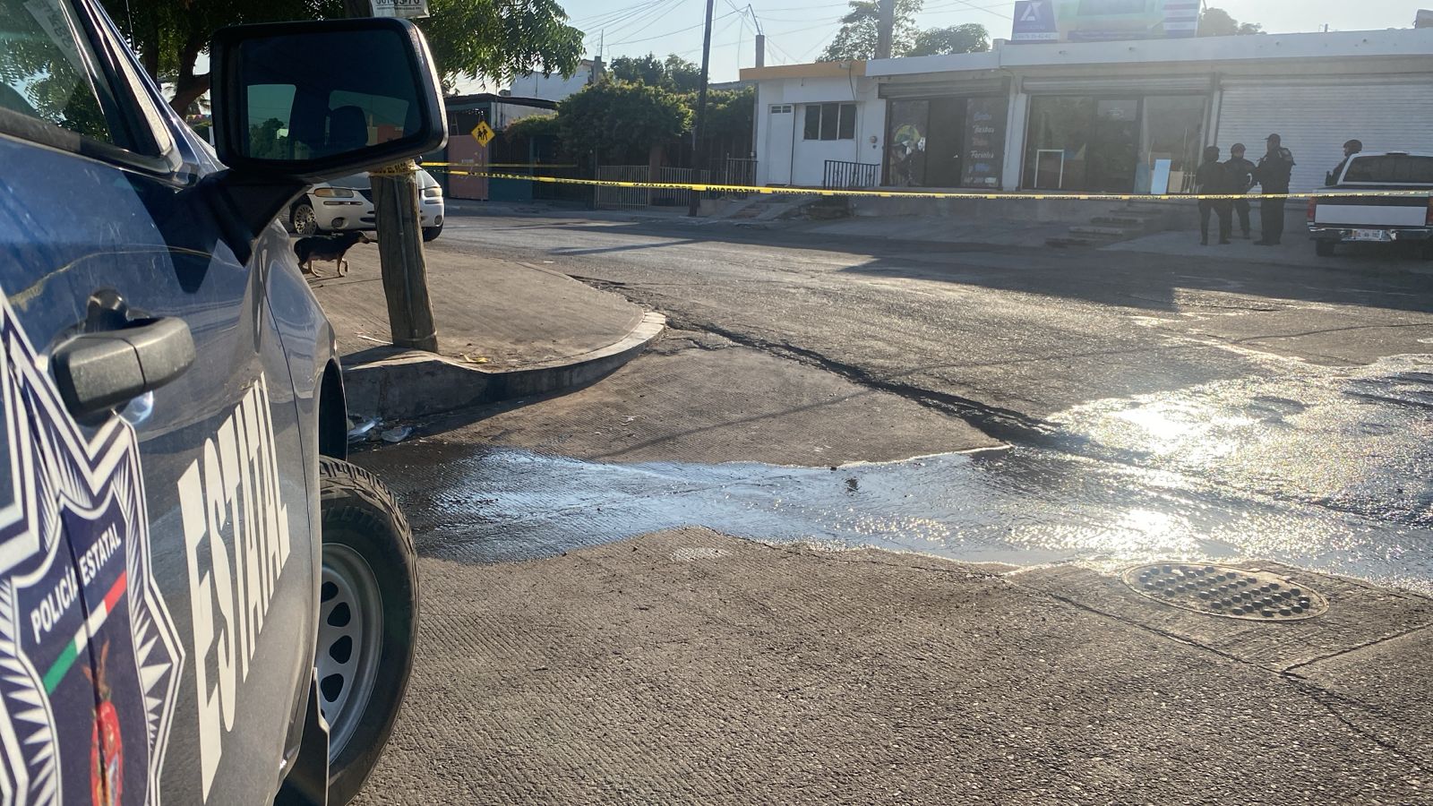 WhatsApp Image 2025-01-03 at 4.42.59 PM