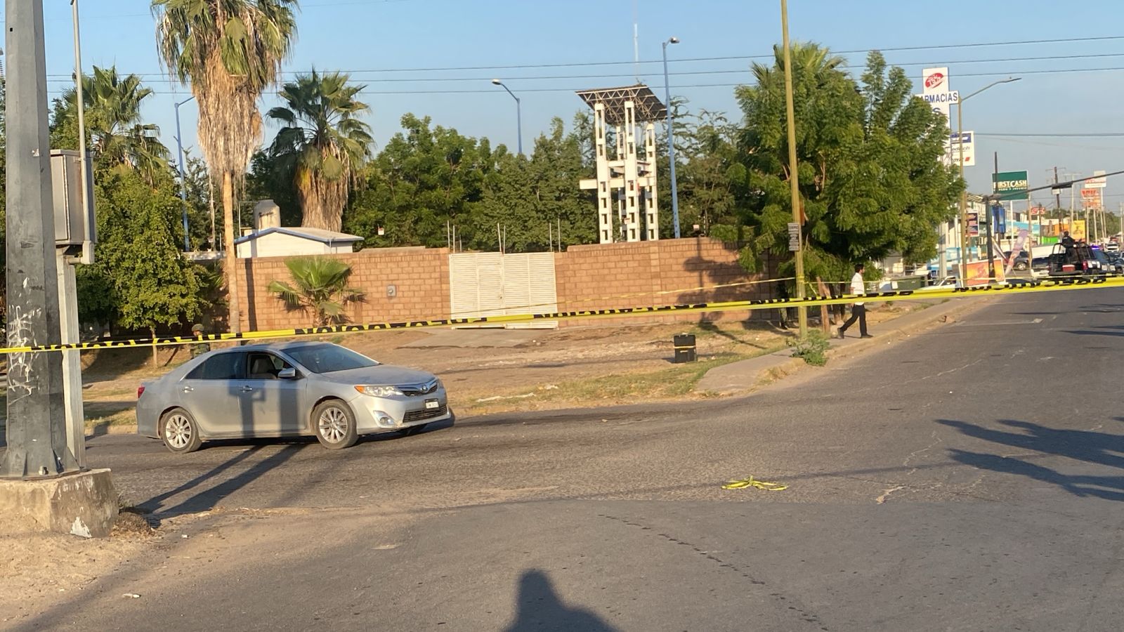 WhatsApp Image 2025-01-03 at 5.22.49 PM (1)