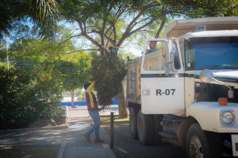 WhatsApp Image 2025-01-06 at 1.39.26 PM