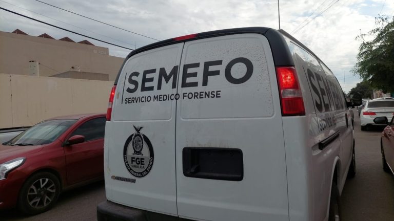 WhatsApp Image 2025-01-08 at 3.12.55 PM