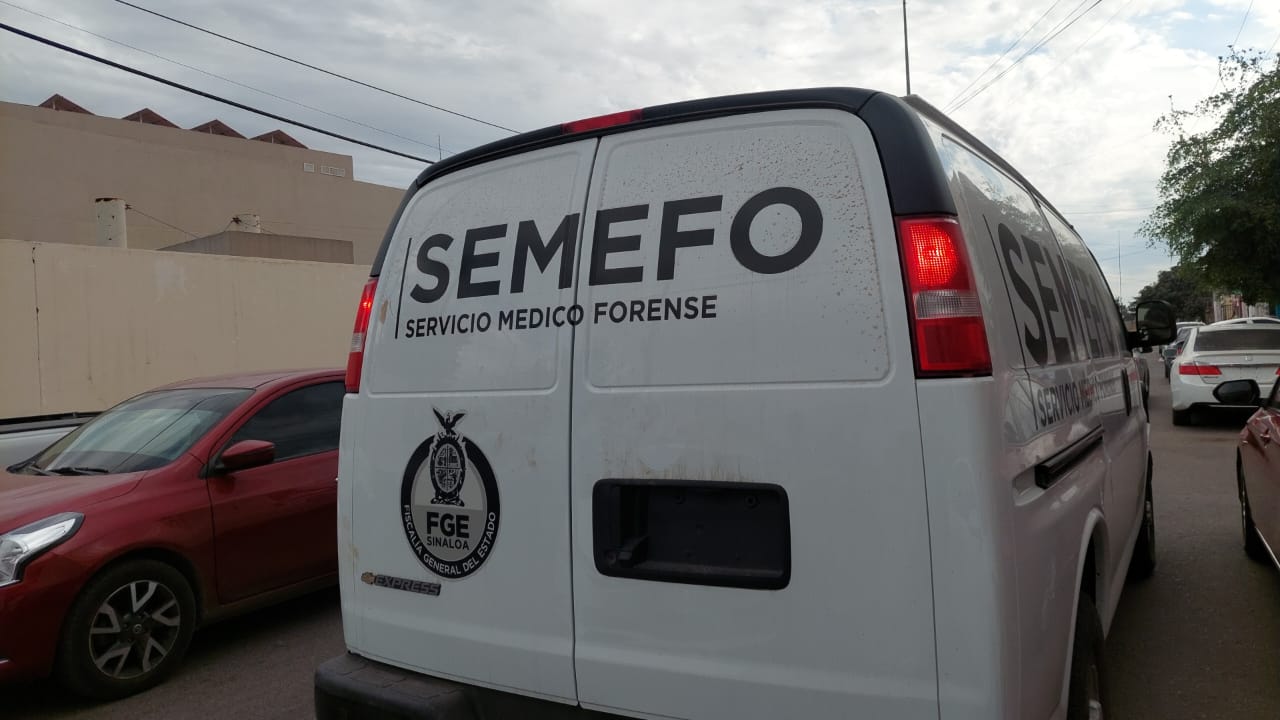 WhatsApp Image 2025-01-08 at 3.12.55 PM