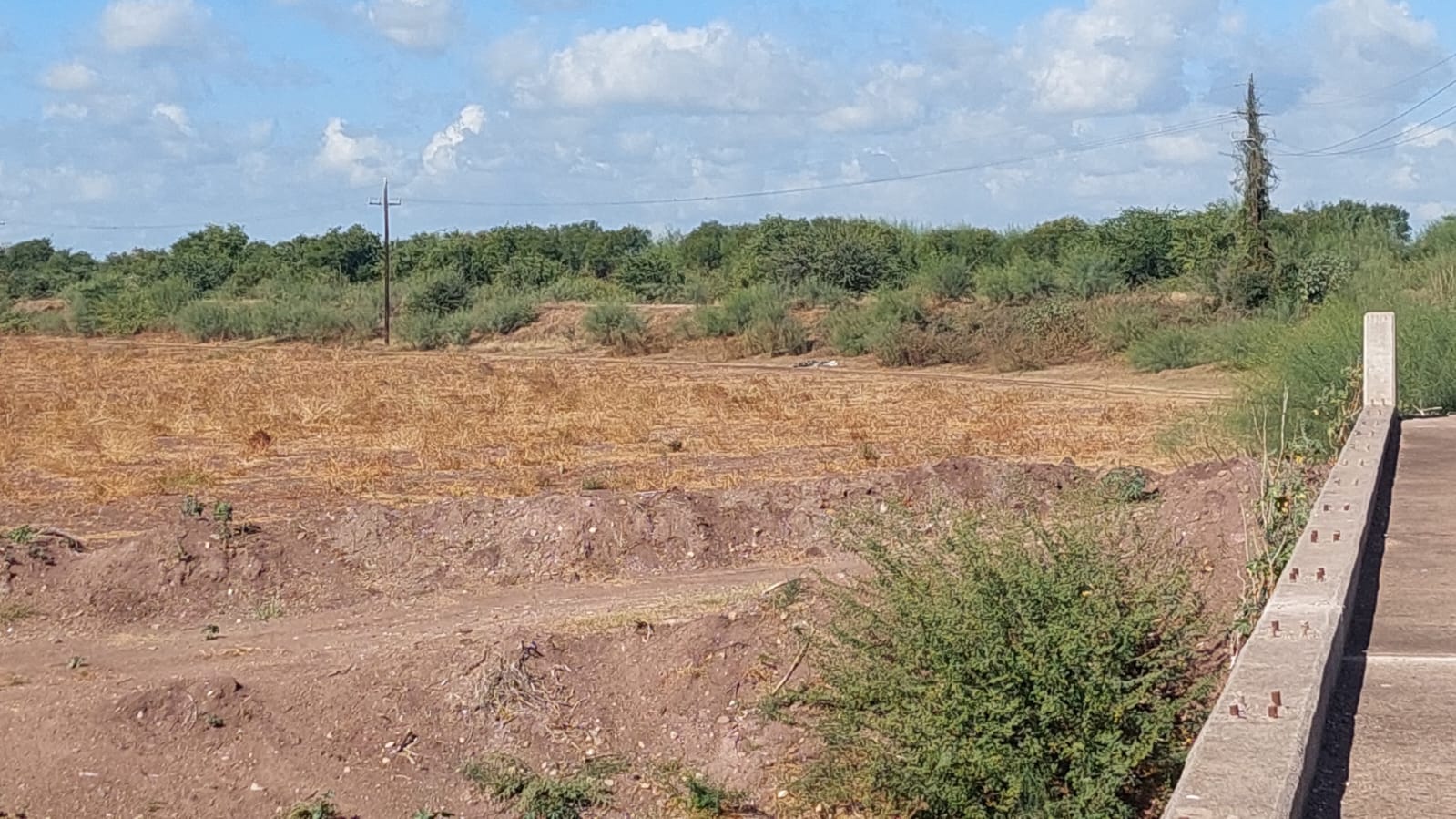 WhatsApp Image 2025-01-09 at 12.09.07 PM