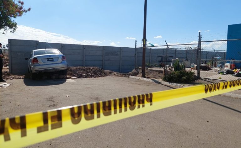 WhatsApp Image 2025-01-09 at 2.35.10 PM