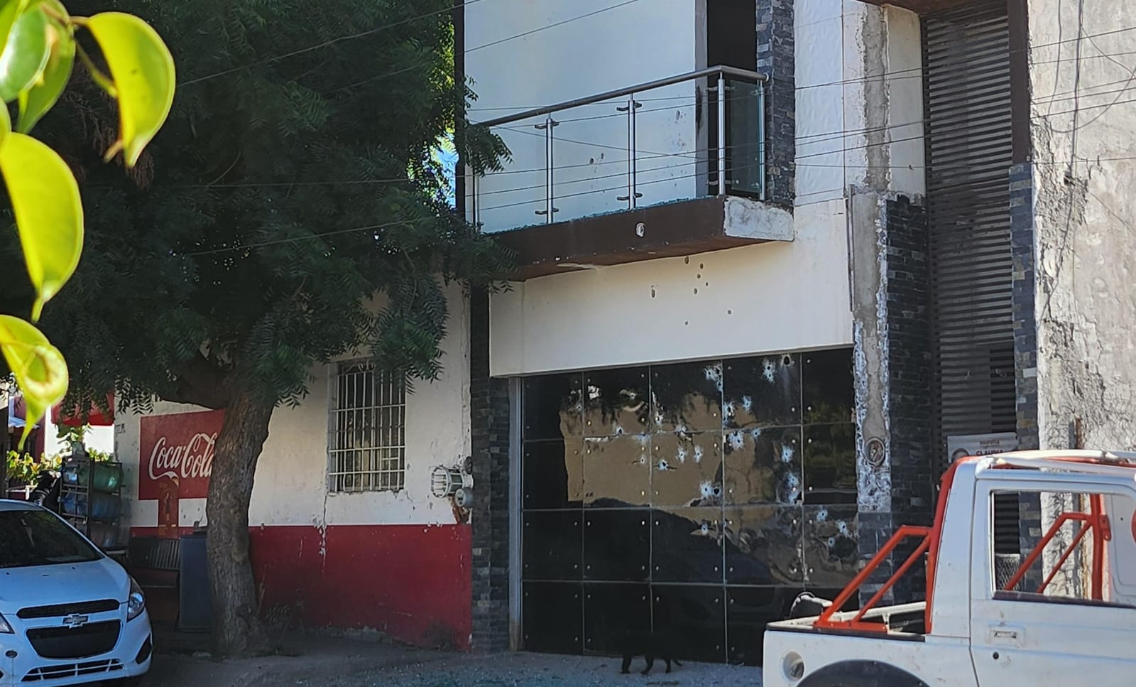 WhatsApp Image 2025-01-09 at 4.29.39 PM