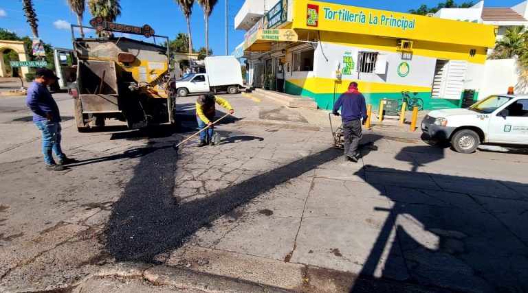 WhatsApp Image 2025-01-09 at 7.44.07 PM